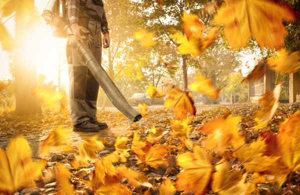 Cost of Leaf Blowing Service in Woodinville