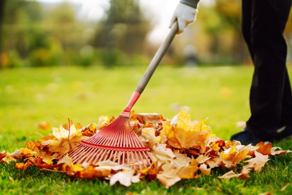 Cost of Ditch Leaf Removal in Woodinville