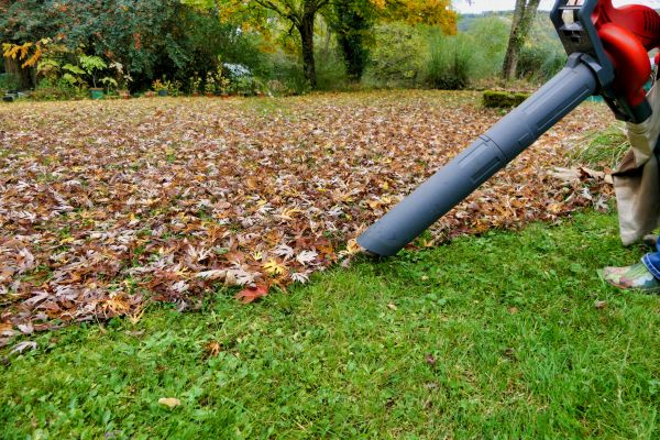 Cost of Leaves Vacuuming in Woodinville