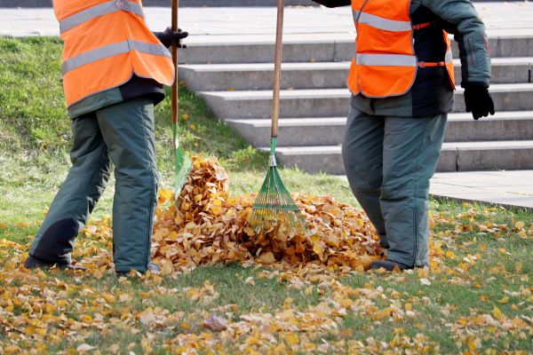 Cost of Leaf Hauling Service in Woodinville
