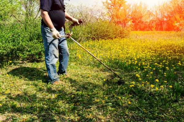 Cost of Yard Clearing Service in Woodinville