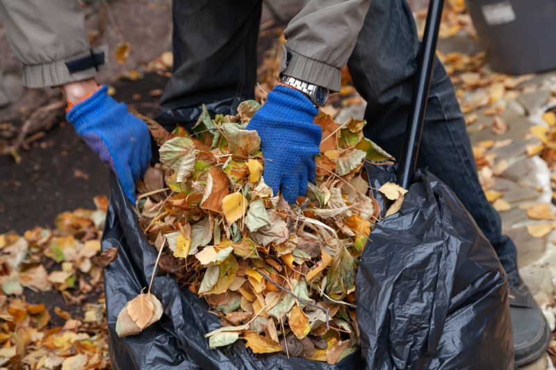 Leaves Blown into Collection Bins