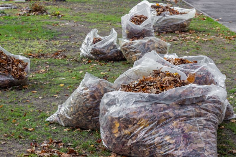 Leaves Being Disposed of Properly