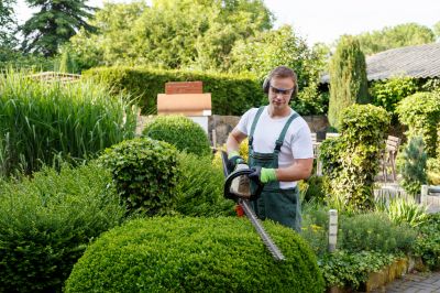 Tree and Shrub Care Experts