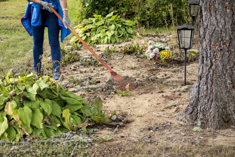 Large Property Clean Up