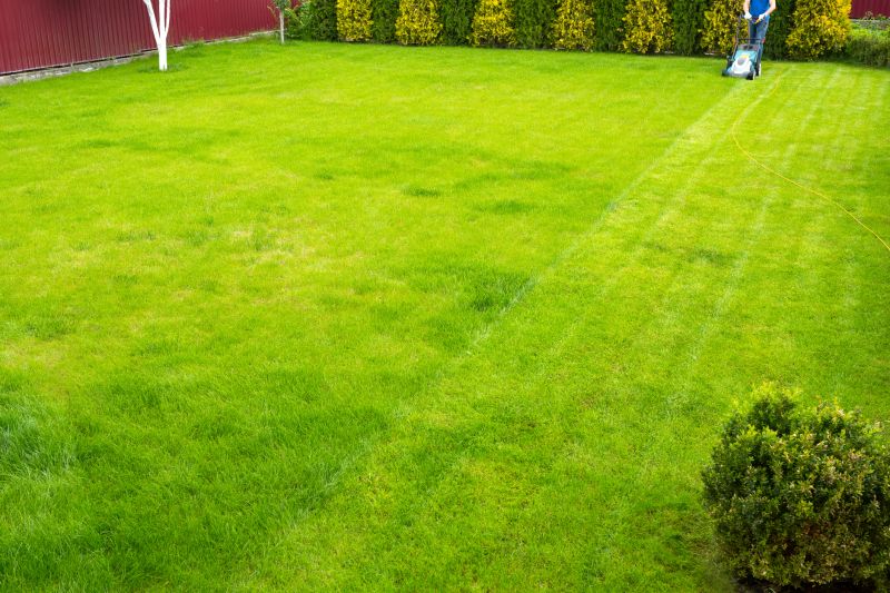 Year-Round Lawn Care